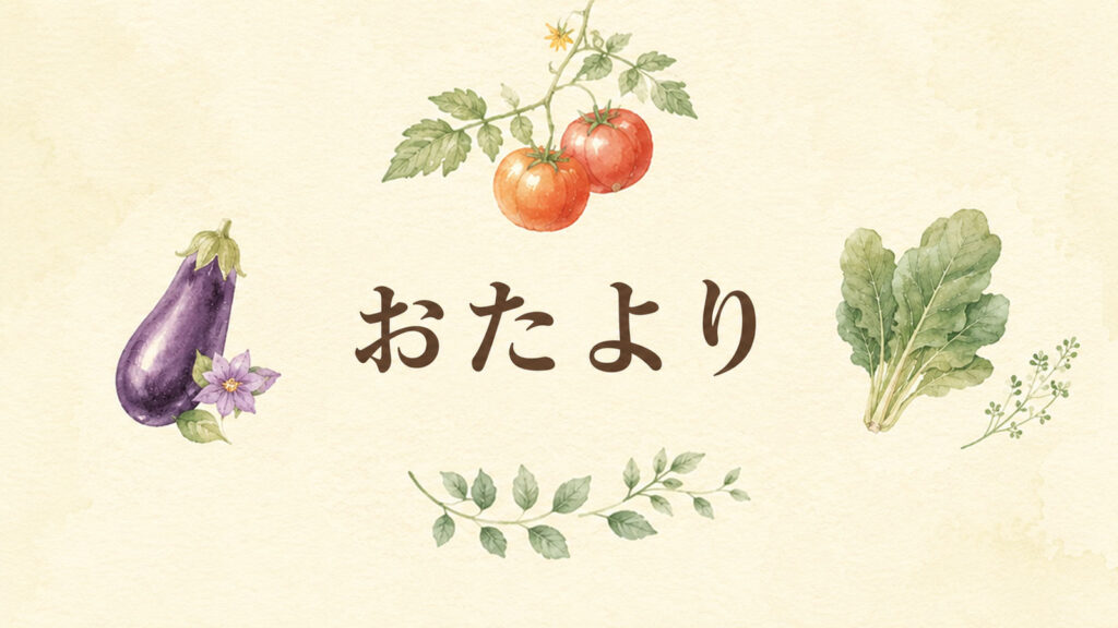 おたより