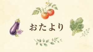 おたより